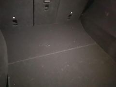 Tesla Model Y 554km Rear-Wheel Drive Edition - ფოტო 7