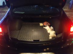 Buick Regal 25T Edition - ფოტო 6