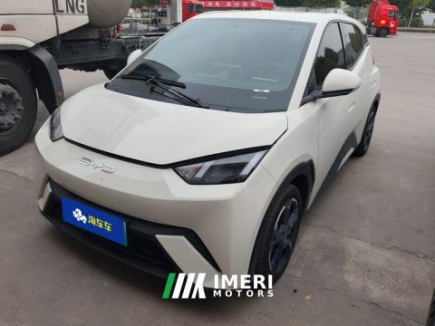 2023 BYD Seagull 305km Free Version - ავტომობილი ჩინეთიდან