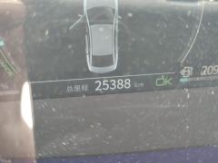 BYD Qin PLUS DM-i 55km Prestigious Edition - ფოტო 15