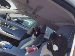 Chery Oumengda 1.6T Edition - ფოტო 15