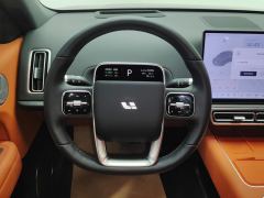 Li Auto L6 Pro - ფოტო 18