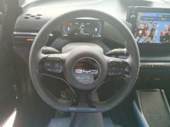 BYD Seagull 305km Free Version - ფოტო 18