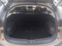 Haval Chitu Jiqing Edition 1.5T Golden Rabbit - фото 7