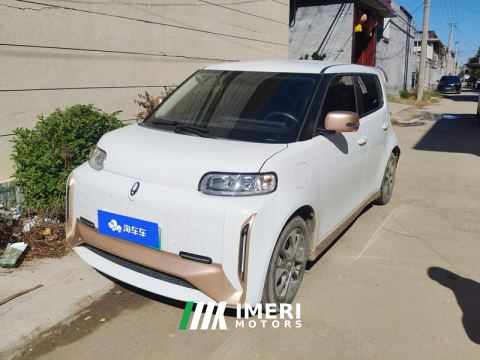 2022 Ora White Cat Edition 360Km Luxury Version - car from China