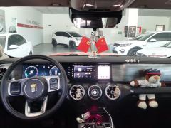 Tank 300 Off-Road Edition 2.0T Conqueror - ფოტო 16