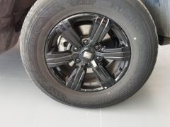 Tank 300 Off-Road Edition 2.0T Conqueror - ფოტო 6