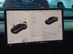 Tesla Model 3 556km Rear-Wheel Drive Edition - photo 14