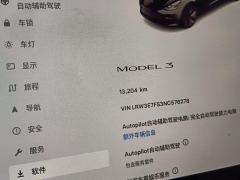 Tesla Model 3 556km Rear-Wheel Drive Edition - photo 15