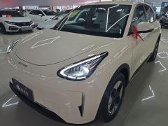 Geely Star Wish 310km Edition - ფოტო 1