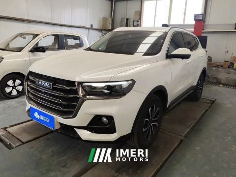 2021 Haval H6 Guochao Edition 1.5T 2WD Urban Edition - ავტომობილი ჩინეთიდან