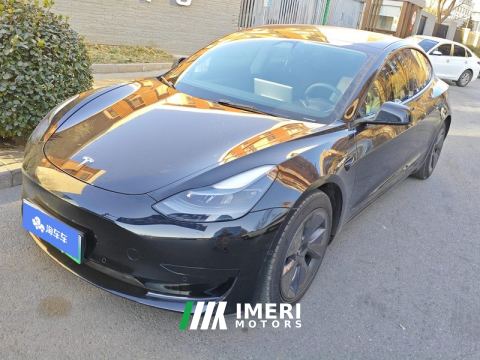 2021 Tesla Model 3 Standard Range Edition 3D6 - ავტომობილი ჩინეთიდან