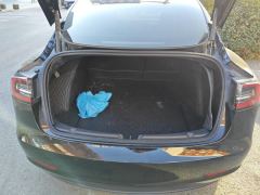 Tesla Model 3 Standard Range Edition 3D6 - ფოტო 7