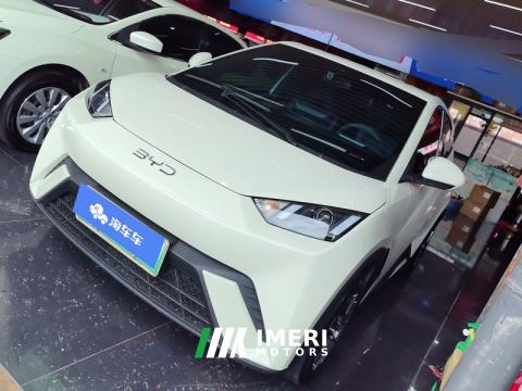 2024 BYD Seagull Honor Edition 305km Vitality Edition - ავტომობილი ჩინეთიდან
