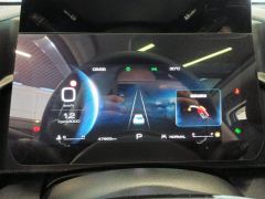Haval Great Wall Big Dog Great Wall Dog 1.5T 2WD Edge Pastoral Edition - photo 20