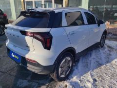 Geely Geometry E Firefly 301km Starlight - ფოტო 2