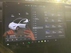 Tesla Model Y 545km Rear-Wheel Drive Edition - ფოტო 20