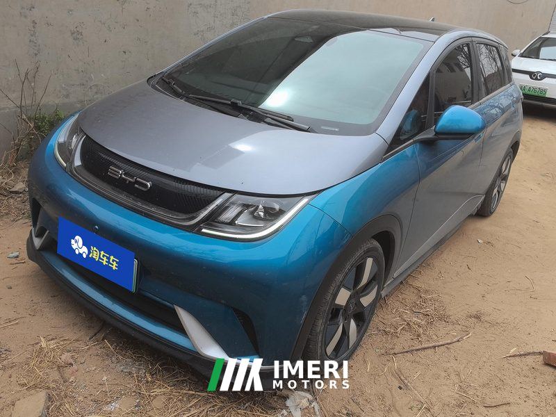 BYD Dolphin 401km Knight Edition - car from China