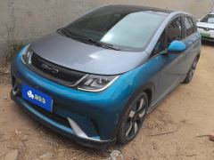 BYD Dolphin 401km Knight Edition - photo 1