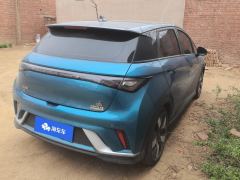 BYD Dolphin 401km Knight Edition - photo 2
