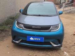 BYD Dolphin 401km Knight Edition - photo 3