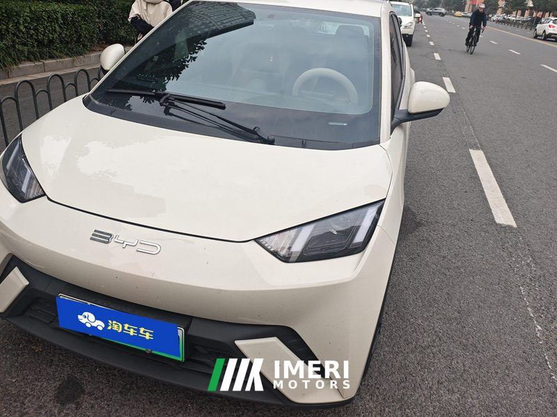 BYD Seagull 305km Vitality Edition - ავტომობილი ჩინეთიდან