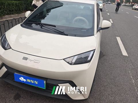 2023 BYD Seagull 305km Vitality Edition