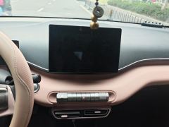BYD Seagull 305km Vitality Edition - ფოტო 17