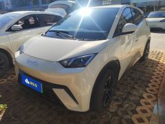 BYD Seagull 305km Vitality Edition - photo 1