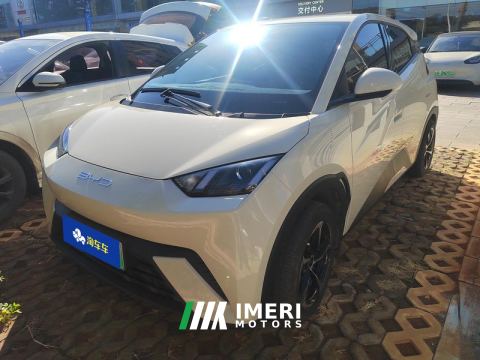 2023 BYD Seagull 305km Vitality Edition
