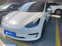 Tesla Model 3 556km Rear-Wheel Drive Edition - фото 1