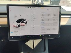 Tesla Model 3 556km Rear-Wheel Drive Edition - фото 20
