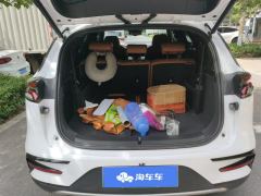 BYD Tang DM-i Champion Edition 1.5T 112km Precursor Honorable Type 7-seater - photo 7