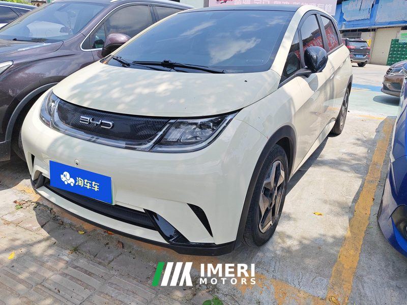 BYD Dolphin 405km Stylish Edition - ავტომობილი ჩინეთიდან