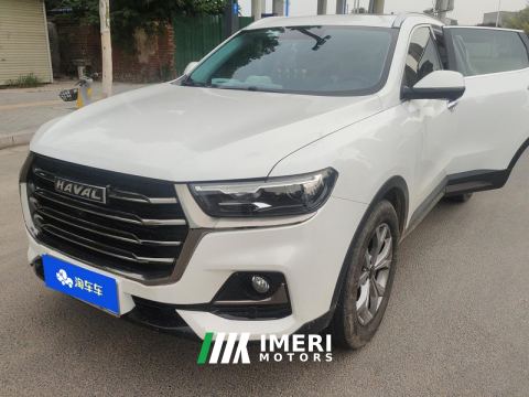 2021 Haval H6 Guochao Edition 1.5T 2WD Champion Edition - автомобиль из Китая