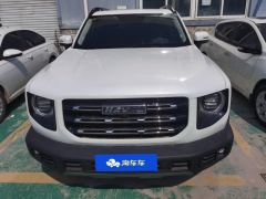 Haval Great Wall Big Dog Great Wall Dog 1.5T Two-wheel drive Labrador version - photo 3