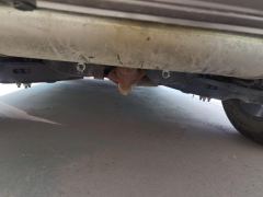 Haval Great Wall Big Dog Great Wall Dog 1.5T Two-wheel drive Labrador version - photo 9