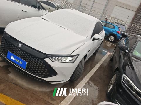 2023 BYD Qin PLUS DM-i Champion Edition 1.5L 55km Leading Edition