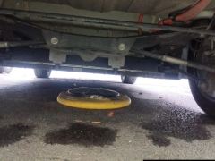 BYD Qin PLUS EV Champion Edition 420km Elite Edition - photo 9