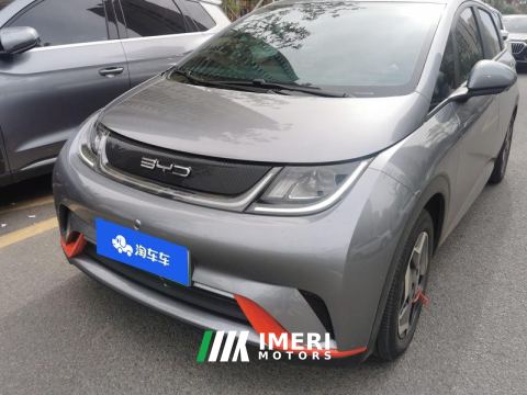 2021 BYD Dolphin 405km Free Version - car from China