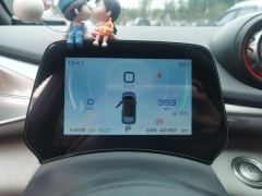 BYD Dolphin 405km Free Version - ფოტო 20