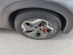 BYD Dolphin 405km Free Version - ფოტო 6