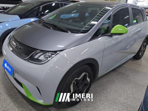 2021 BYD Dolphin 405km Stylish Edition - car from China