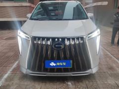 GAC Trumpchi E9 2.0T 136km Master - фото 3