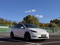 Tesla Model Y Performance All-Wheel Drive - photo 3