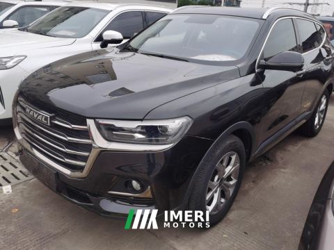 2021 Haval H6 1.5T DCT Champion Edition - car from China