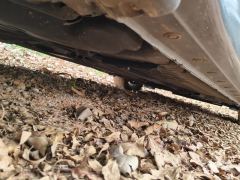 Nissan Sylphy Classic 1.6L XE Comfort Edition - ფოტო 10