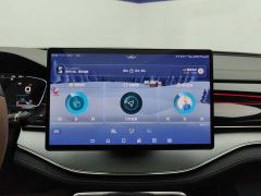 BYD Tang DM 2.0TI AWD Performance EditionFlagship Version - ფოტო 17