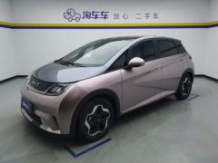 BYD Dolphin 405km Stylish Edition - photo 1