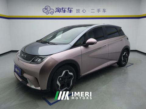 2021 BYD Dolphin 405km Stylish Edition - ავტომობილი ჩინეთიდან